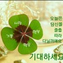 늘좋은날 - 홍성군 | 늘좋은날
