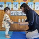 '푸른 하늘의 날 콘테스트'에 입상했어요🎉 이미지