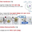 엠피코리아(MP korea) 이미지