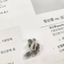 난 원예사 이미지