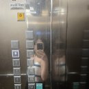 젬스테이 이미지