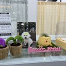 뽀까부엌 이미지