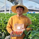 박진규농장 이미지