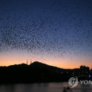 울산종합가구