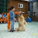 마루유치원 이미지