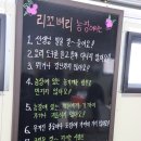 송조농원 | 농촌체험을 통한 청양치유여행 청양팜투어 2편! (송조농원+리꼬베리+해맞이목장)