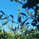 제주 터닝포인트 이미지