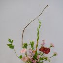 포멀리니어(Formal Linear) 이미지
