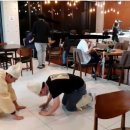 더세븐PC방 이미지