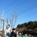 아트인엘펜션 이미지