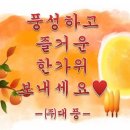 대풍건재 이미지
