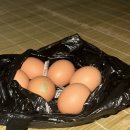 MJ24불가마스파랜드 | 금천 독산 24시 찜질방 [현대불가마사우나] 2번째 방문 후기(가격 매점 이용시간 주차 솔직후기)