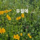 유월시