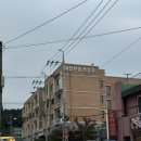 판암동140 | [대전판암동맛집] 원미면옥 나혼자산다 펜싱 오상욱선수 단골 냉면맛집 바로 다녀온 솔직후기