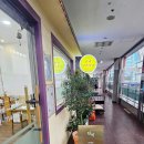 중앙공원로31번길 | [분당 심리치료] 아늑하고 편안했던 서현동 심리상담센터 &#39;단비&#39; 후기