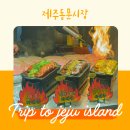 제주동문시장 : 제주여행 마지막 코스 제주공항 근처 레드향 황금향 가격 정보 구매 후기