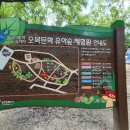 오목문화 유아숲체험원 이미지