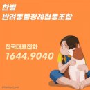무지개펫케어