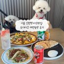 시흥 신천역 타코맛집 토키타코 애견동반 후기