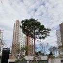 녹색공인중개사사무소 이미지