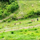 마지기로 이미지