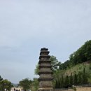 안동역 광장 | [안동]임청각에서 시작하는 중앙선1942 둘레길 트레킹 사전 OPEN 후기