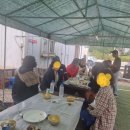 신바람막걸리 이미지