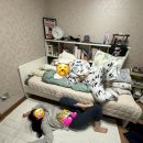 주영카써비스 | 2025년끗 스무살끗 ㅜㅜ