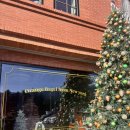 굿모닝베이커리 | 수원 베이글 맛집 _🍊 “ 오렌지베이글 ” 분위기 좋은 대형 수원 베이커리 카페 포장후기 🥯