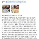 맨디퍼스널컬러