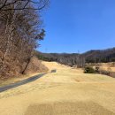 코스카cc | 충북 음성 코스카 cc 릴리 파인코스 그린이 쉽지 않았던 라운딩 후기