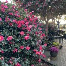 아이렌트카 이미지