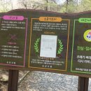 소룡약수터 이미지