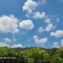 목요무동력 419 묵념 이미지