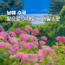 경남 남해 여행지 수국 명소 앵강공원