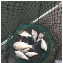 검은솔밭낚시터 이미지