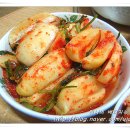 시골칼국수 Daum카페