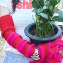 키키하우스 이미지