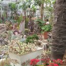 로하스펜션 이미지