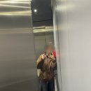 W3 | 심란할 땐 행동하기 | 레주메 직컨, NSW운전면허 수령, 패디스마켓쿼카키링, 쉐어룸입주