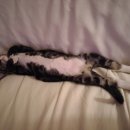 구지동물병원 이미지