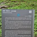 김포평화누리길 2코스 | 김포 여행 관광 덕포진 포대,파수청,돈대터,평화누리길 구경하기