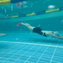 용호레포츠 | 접영 발차기와 박자 훈련으로 접영 성공하기!