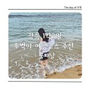 내현리 375-1번지 앞 | 강릉 1박2일 뚜벅이 여행코스 추천: 둘째날 (팔도전복해물뚝배기, 롱블랙, 강릉꼬막집 독도네, 홀리데이...