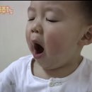 샤꼬글&amp;양꼬글 보일시 대처법 이미지