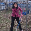 건우 농장 이미지