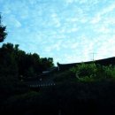 개화산 미타사 앞 이미지