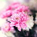 동광로19길 5 이미지