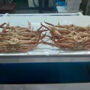 포항죽도어시장 이미지