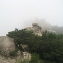 까치내둥지가든 이미지